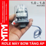 Role may bom nuoc ap luc tu dong 1 18kg tren tay