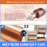 SURGEFLO may bom loi dong cao cap