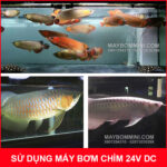 Su dung may bom cho ho be ca Coi