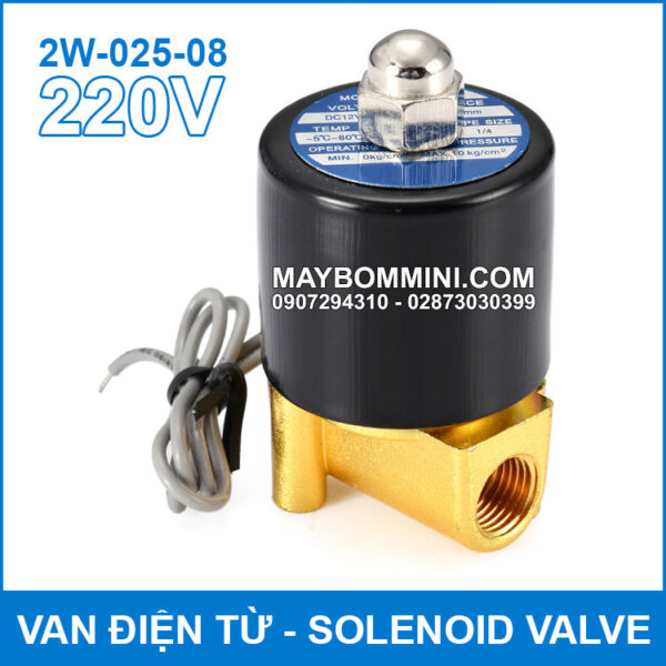 Van dien tu 2W 025 08 220V