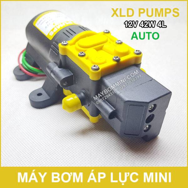 XLD pump 12V 42W 4L