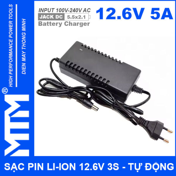 ban Sac pin Li ion 12V6 3S 5A co quat Charger 12V Lithium Iron Phosphate Battery