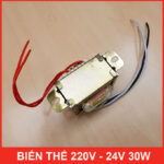 ban ca loai nguon dien bien the