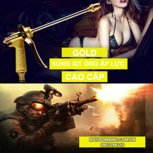 ban dung rua xe mini ap luc cao