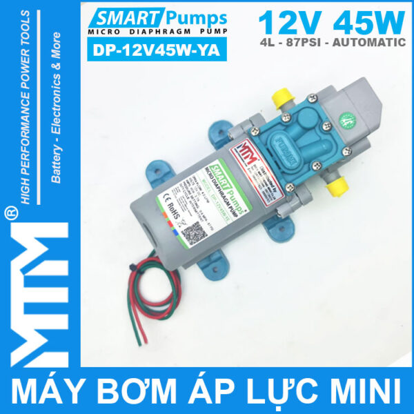 ban may bom ap luc mini tu dong 12V 45W 4L Smartpumps DP 12V45W YA