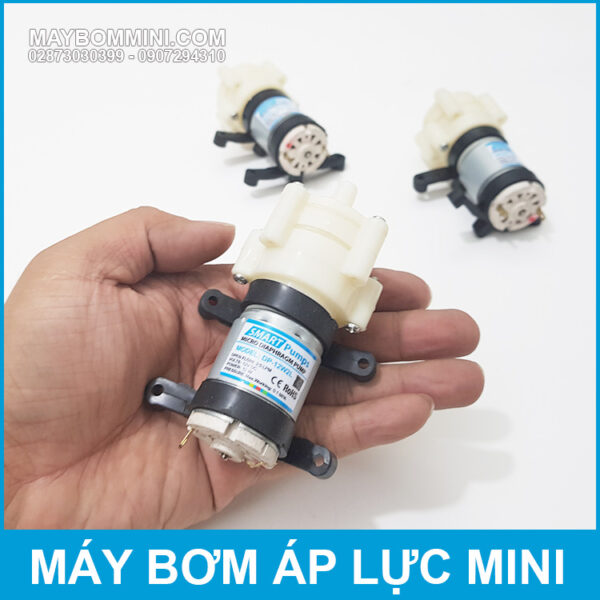 ban may bom mini gia re chat luong 12V 12W 2L Smartpumps