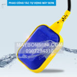 ban phao role may bom nuoc