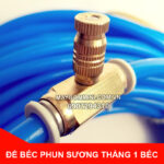 bec phun suong bang dong