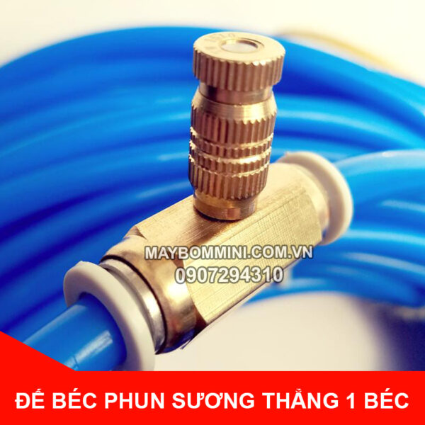 bec phun suong bang dong