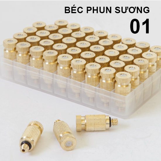 bec phun suong so 1