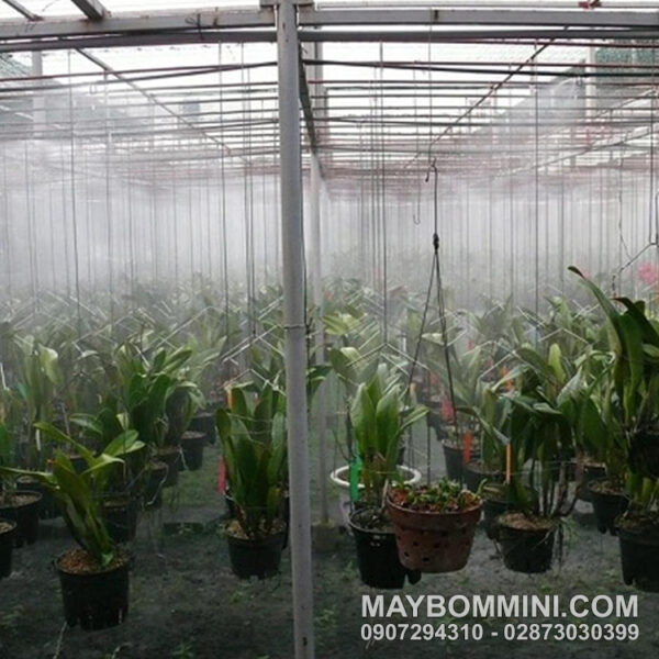 bec phun suong tuoi lan nha vuon