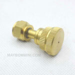 bec phun thuoc sau 2