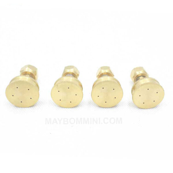 bec phun thuoc sau tuoi cay dieu chinh 1