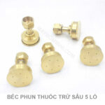 bec phun thuoc tru sau 5 lo 1