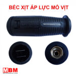 bec xit ap luc mo vit