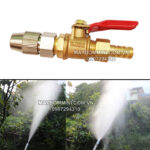 bec xit chinh tia va khoa nuoc taiwan