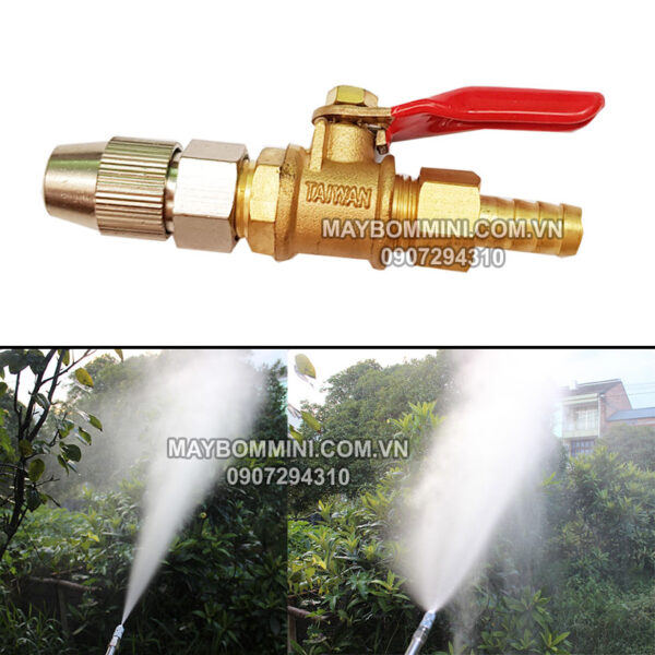 bec xit chinh tia va khoa nuoc taiwan