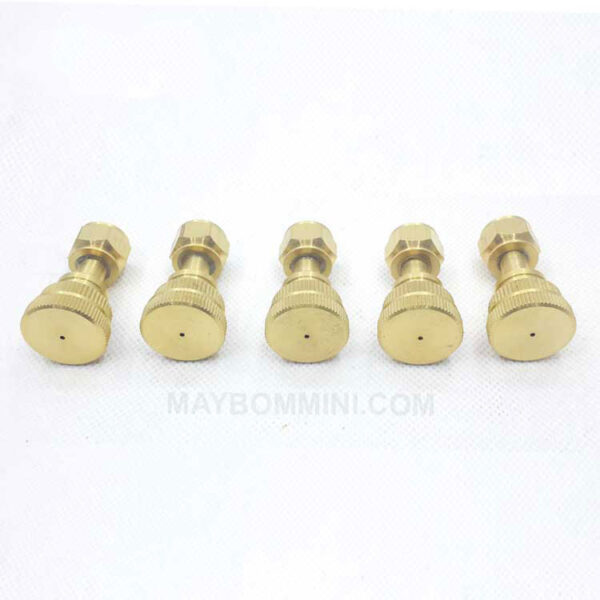 bec xit thuoc tru sau 1