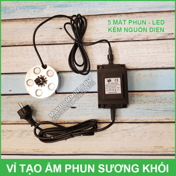 bo phun suong tao khoi be ca hon non bo