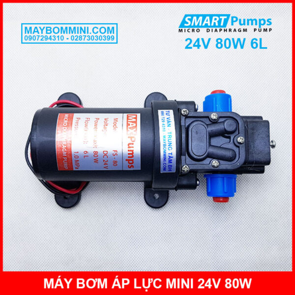 bom ap luc mini 24v 80w 6l smartpumps khong cong tac
