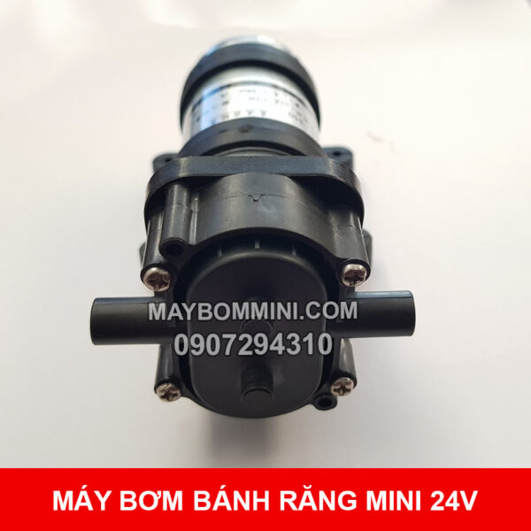 bom banh rang gia re