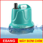 bom bom nuoc tha chim chat luong gia re