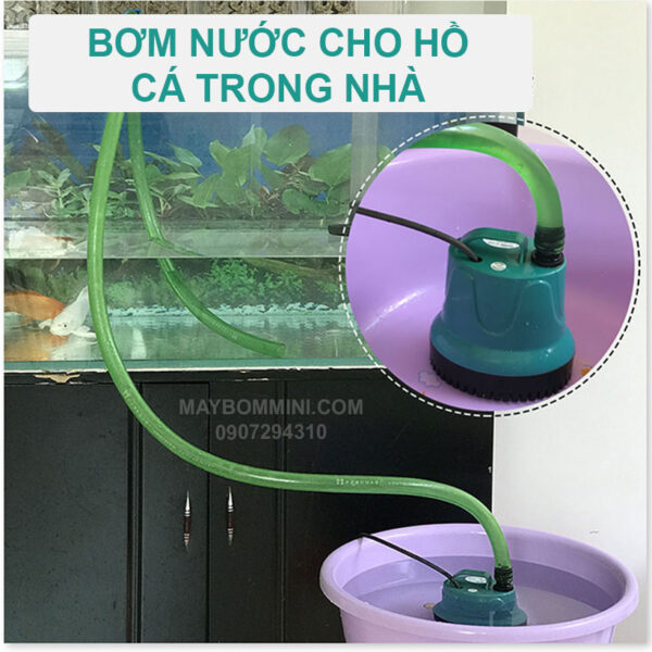 bom cap nuoc cho ho ca trong nha