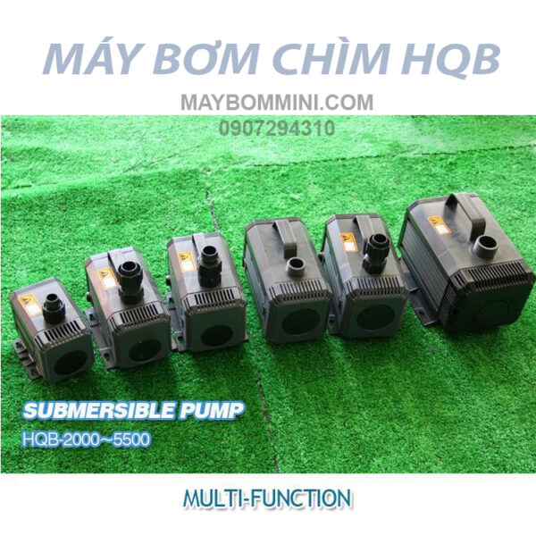 bom-chim.jpg bom chim