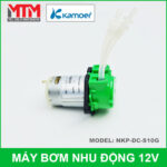 bom nhu dong 12v NKP