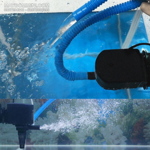 bom nuoc bom oxy ho ca trong nha