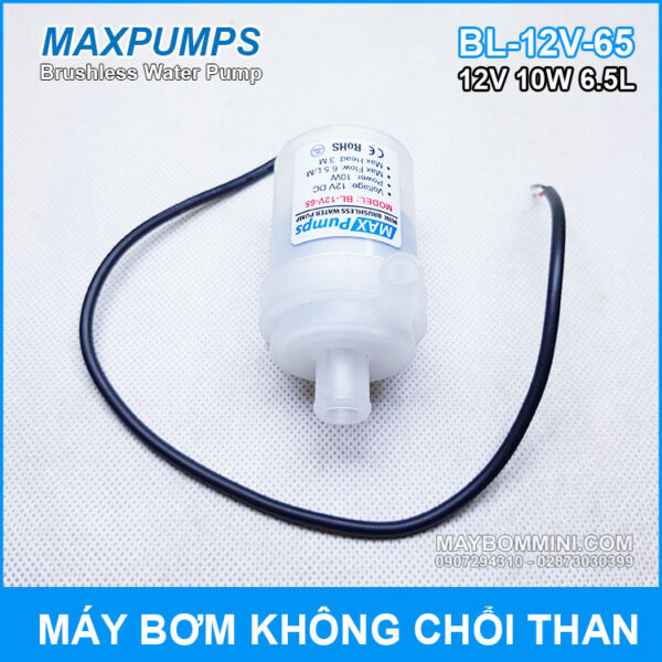bom nuoc chat long 12v 650l gia re