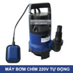 bom nuoc gia dinh chong ngap tu dong