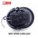 bom nuoc ho ca hon non bo