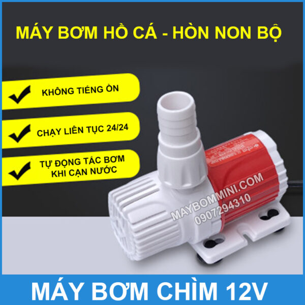 bom nuoc ho ca hon non bo mini 12v