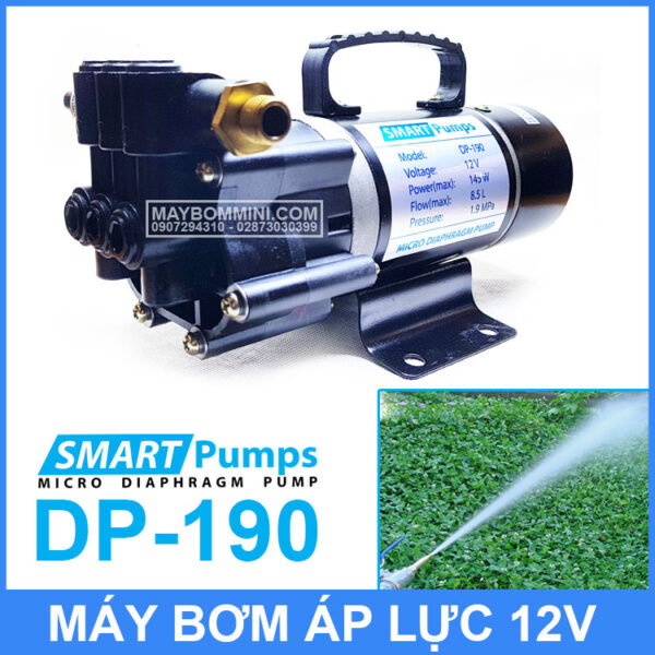 bom nuoc mini 12V 145W Smartpumpp DP 190