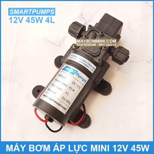 bom nuoc mini 12v 45w