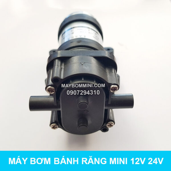 bom nuoc mini banh rang 12v 24v