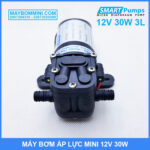 bom nuoc mini nho nhat 12v 30w