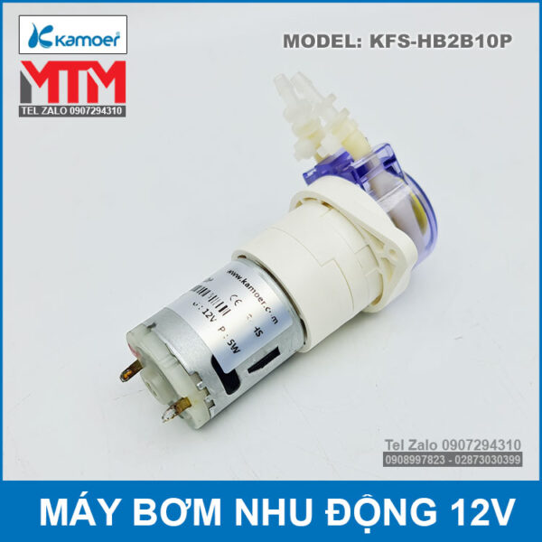 bom nuoc mini nhu dong 12V KFS