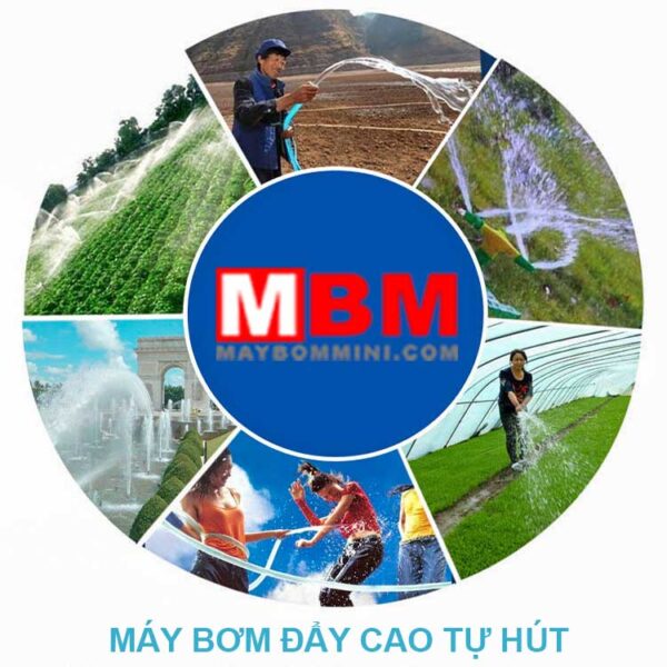 bom nuoc sinh hoat tuoi cay 12v 24v