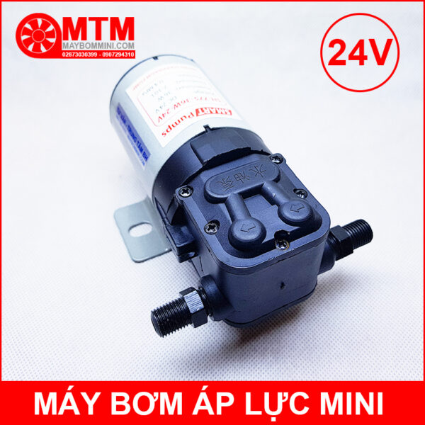 bom xang 24V mini