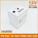 box pin dung phong 12V 8000mah cao cap