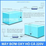 cach lap rap su dung may bom oxy SOBO