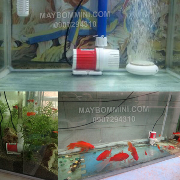 cach su dung may bom chim cho ho ca