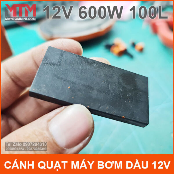 canh bom xang dau 12v 600w