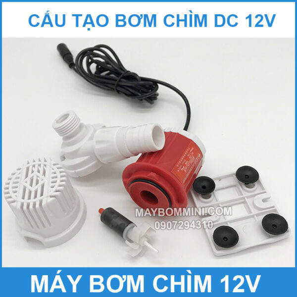 cau tao bom chim 12v dc