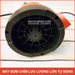 cau tao may bom chim