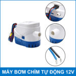 cau tao may bom tu dong 12v tha chim