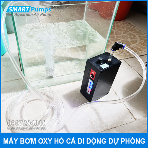 chay thu thuc te may bom mini du phong 12v