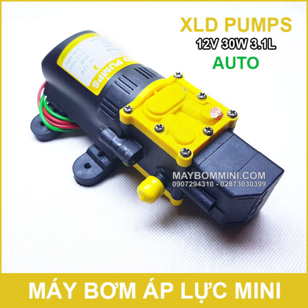 chuyen ban bom nuoc mini gia re 12v 30w auto